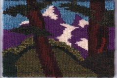riversc2