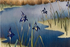 1_rs27-siberian-iris-west-tisbury