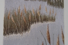 1_rs44-pampasgrassstudy