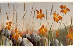 1_rsstonewall-and-daylilies